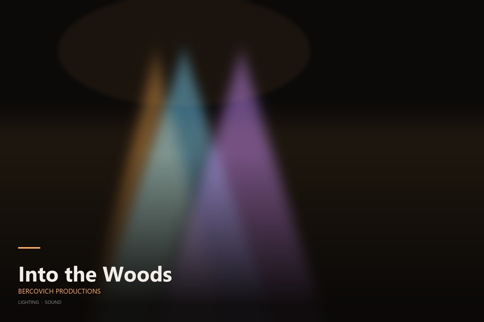 Into the Woods - Bercovich Productions